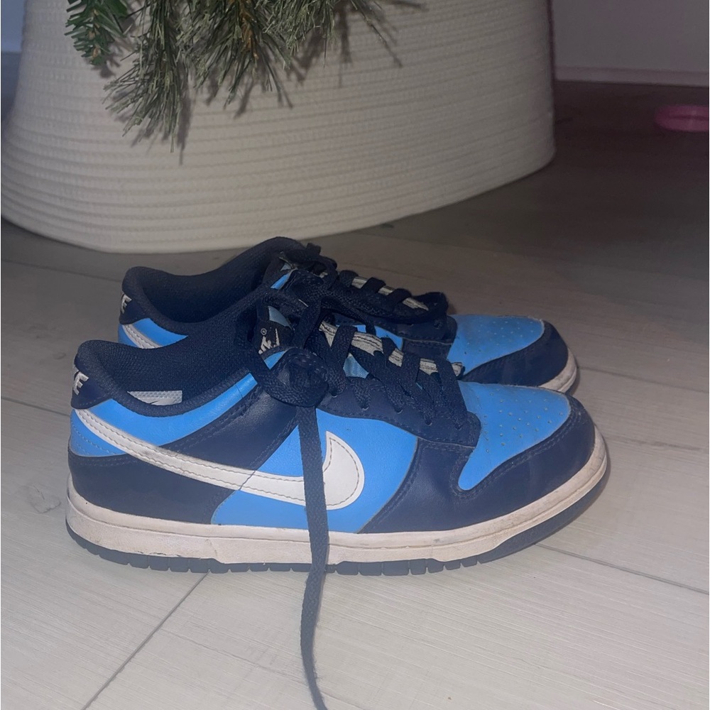 Boys Nike Dunk Lows. 4.5 Youth